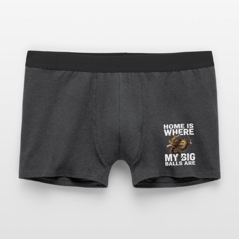 Königspython Schlangen Liebhaber Terrarium Python Männer Boxer Shorts