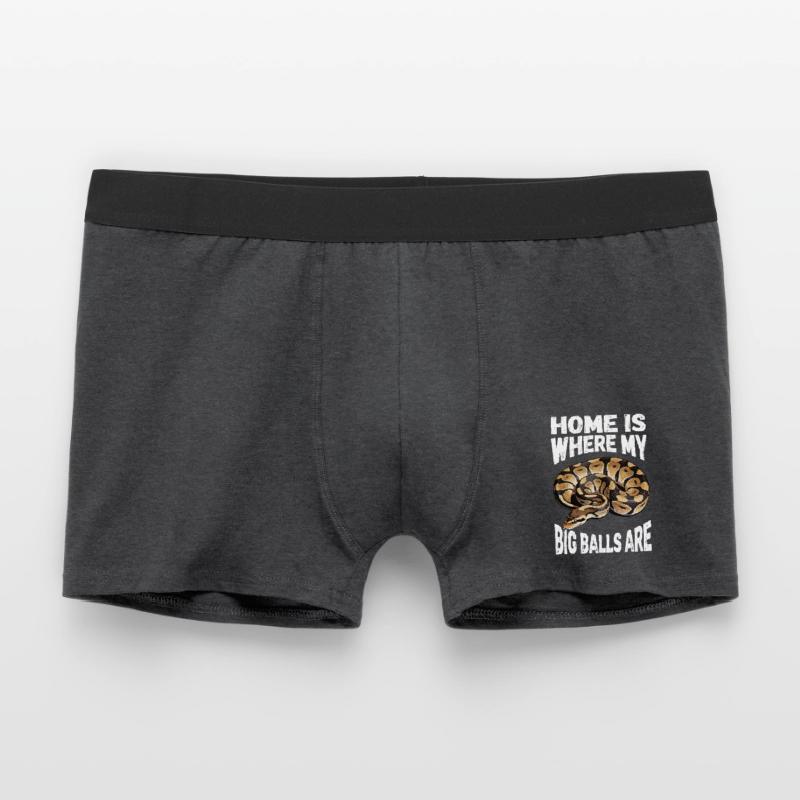 Python roi Serpents Amateurs de terrarium Python Boxer Homme