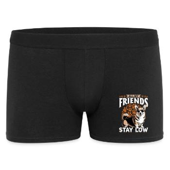 Corgi de race de chien drôle - Boxer Homme - noir - Devant