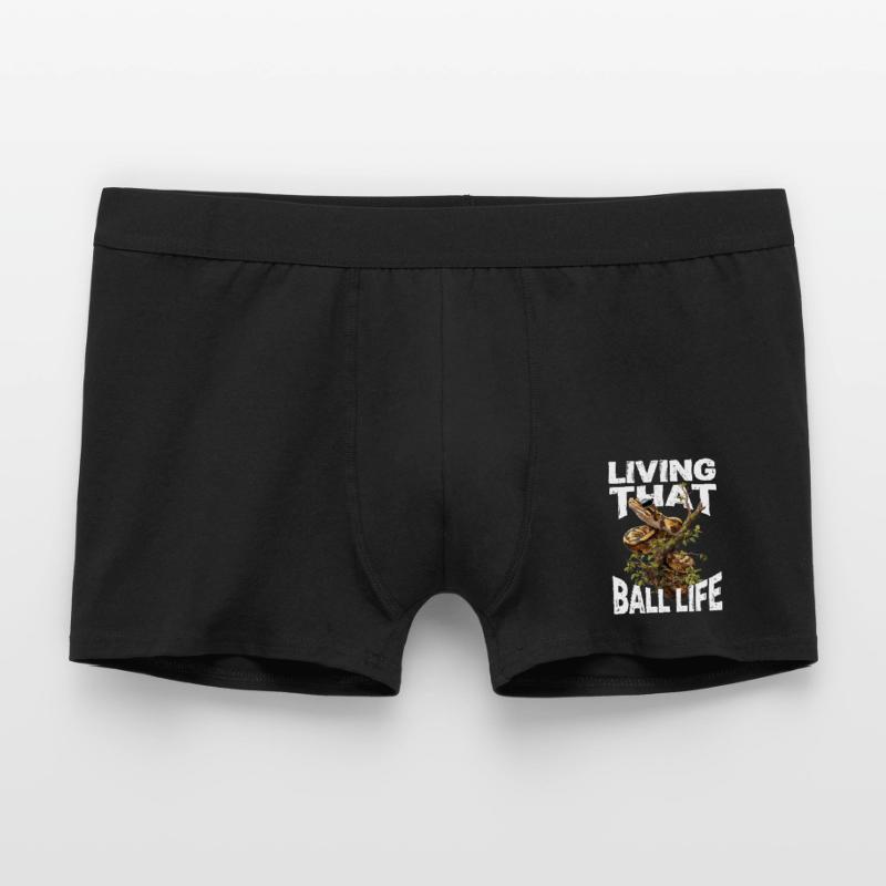 Python roi Serpents Amateurs de terrarium Python Boxer Homme