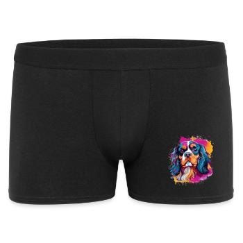 Chien épagneul, Cavalier King Charles - Boxer Homme - noir - Devant