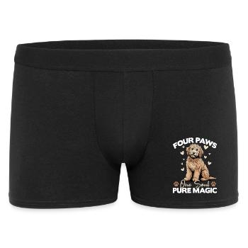 Race de chien Goldendoodle - Boxer Homme - noir - Devant