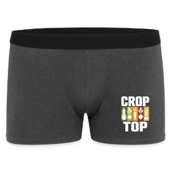 Vegetable Icons Crop Top Design - Men's Boxer Shorts - charcoal grey - Front