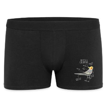 Anatomie de la calopsitte - Boxer Homme - noir - Devant