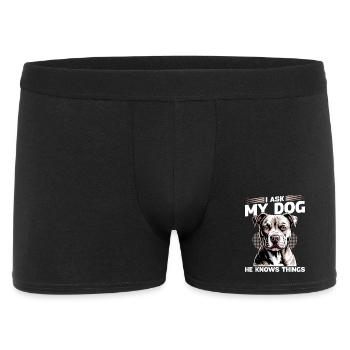 Pitbull Terrier Race de chien pittie - Boxer Homme - noir - Devant