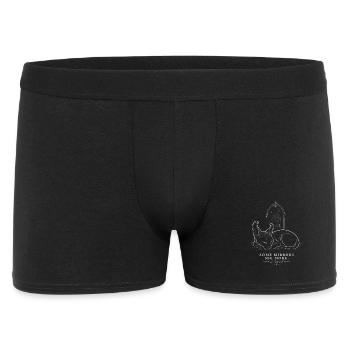Elf Sphynx – Mirror Legend - Men's Boxer Shorts - black - Front
