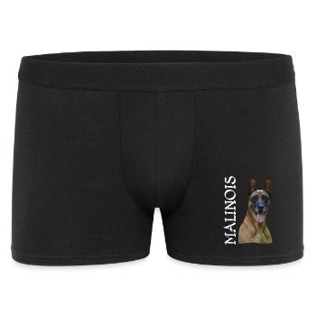 Malinois, Mali, shepherd, shepherd dogs, dog sports, - Men's Boxer Shorts - black - Front