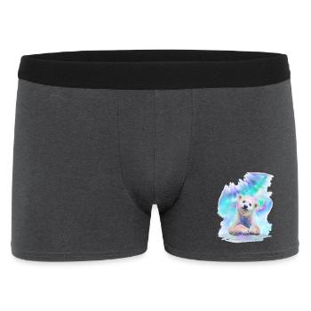 Eisbär - Männer Boxer Shorts - Anthrazit - Vorne