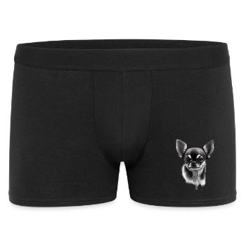 Chien miniature Chihuahua - Boxer Homme - noir - Devant