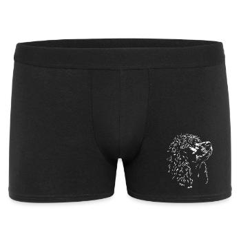 Irish Water Spaniel Silhouette Dog Dog Wilsigns - Men's Boxer Shorts - black - Front