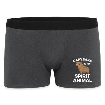 Capybara Zoo Animal Design - Men's Boxer Shorts - charcoal grey - Front