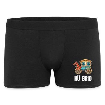 Hü Brid - Funny Hybrid Car - Horse - Men's Boxer Shorts - black - Front