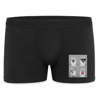 Hunde Zwergspitz Hund - Männer Boxer Shorts - Schwarz - Vorne