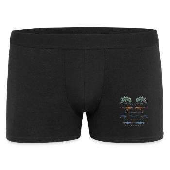 Dinosaures colorés multiformes - Boxer Homme - noir - Devant