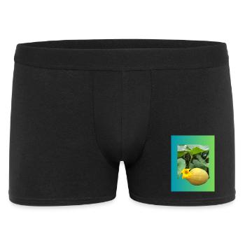 Gelbe Zucchini mit Blüte - Männer Boxer Shorts - Schwarz - Vorne