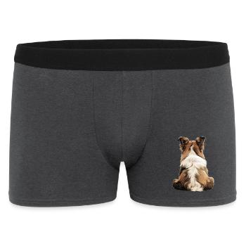 Chien de berger Shetland - Boxer Homme - charbon - Devant