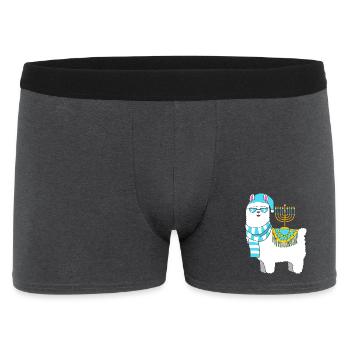 Chanukkah Hanukkah Hanukah - Men's Boxer Shorts - charcoal grey - Front