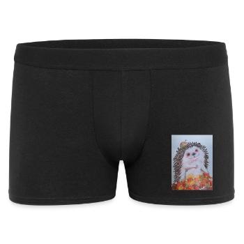 EG Hedgehog with Apple I Garden I Holiday I Autumn I Fun - Men's Boxer Shorts - black - Front