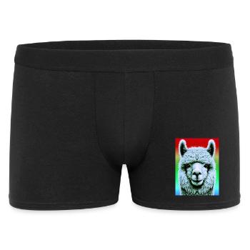 Alpaga - Boxer Homme - noir - Devant