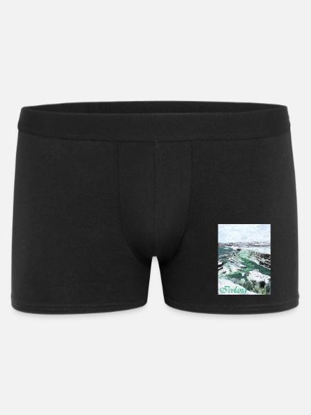 Frozen waterfalls in Iceland - Men's Boxer Shorts - black