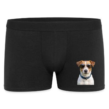 Cool Jack Russell Terrier Sunglasses - Men's Boxer Shorts - black - Front