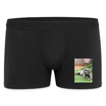 Grauer Welpe auf grünem Gras - Männer Boxer Shorts - Schwarz - Vorne