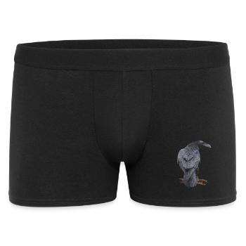 Rabe - Männer Boxer Shorts - Schwarz - Vorne