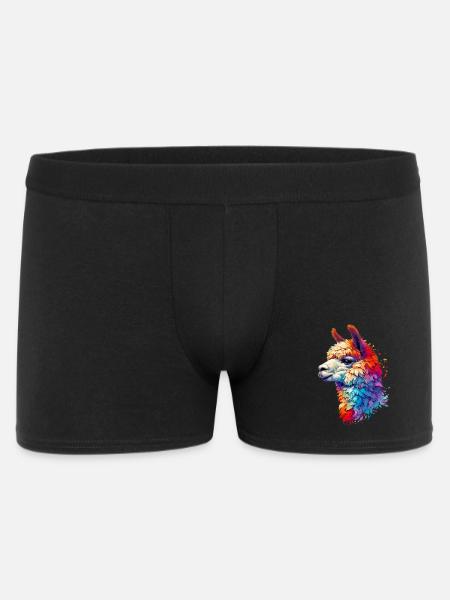 Alpaga - Boxer Homme - noir