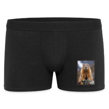 Marmottes Marmotte - Boxer Homme - noir - Devant
