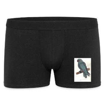 Papagei - Männer Boxer Shorts - Schwarz - Vorne