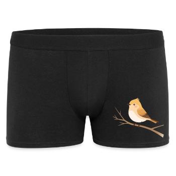 Illustration de la nature d’un petit oiseau sur une branche - Boxer Homme - noir - Devant