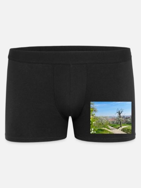 Frühlingsansicht mit blühendem Obstgarten - Männer Boxer Shorts - Schwarz