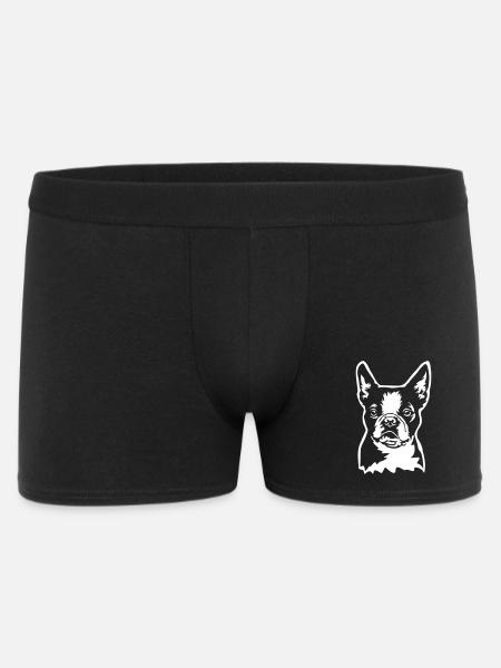 Boston Terrier Head "Black Edition" - Men's Boxer Shorts - black