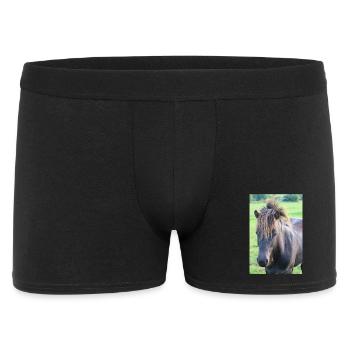 Pferd Pferdeposter - Männer Boxer Shorts - Schwarz - Vorne