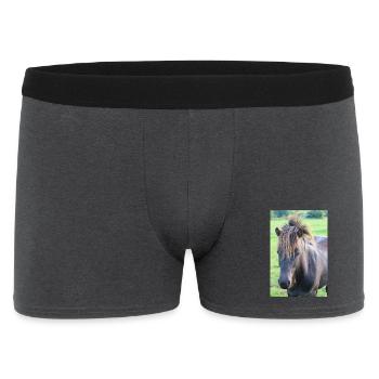 Affiche Cheval Cheval - Boxer Homme - charbon - Devant
