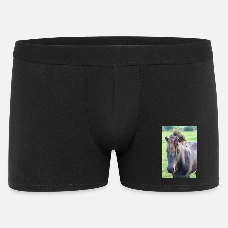 Pferd Pferdeposter - Männer Boxer Shorts - Schwarz