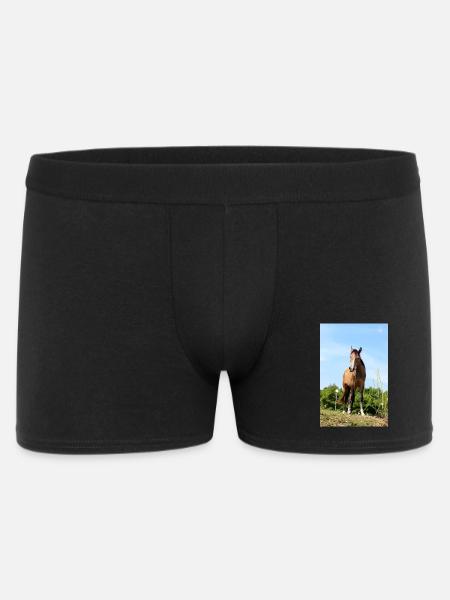 Affiche Cheval Cheval - Boxer Homme - noir