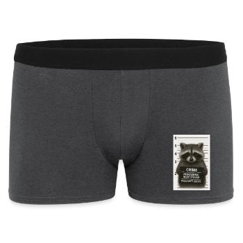Raton laveur – vol de cœur avec un système - Boxer Homme - charbon - Devant