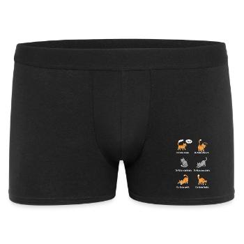Katzenleben – Schnurrhaare & Katzenliebe - Männer Boxer Shorts - Schwarz - Vorne