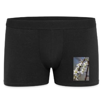 Des cerisiers blancs délicats au printemps - Boxer Homme - noir - Devant