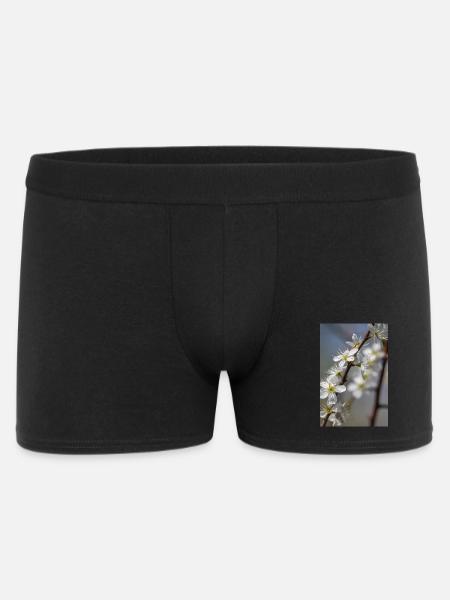 Delicate white cherry blossoms in spring - Men's Boxer Shorts - black
