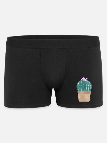 Kaktus im Blumentopf - Männer Boxer Shorts - Schwarz
