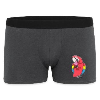 Parrot popsicles - Men's Boxer Shorts - charcoal grey - Front