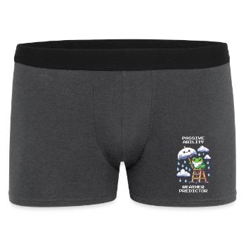 Passive Ability: Weather Oracle | Weatherman - Men's Boxer Shorts - charcoal grey - Front