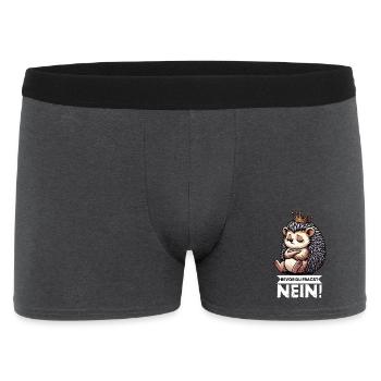 Before You Ask Hedgehog Hedgehog Lover Hedgehog Stinger - Men's Boxer Shorts - charcoal grey - Front