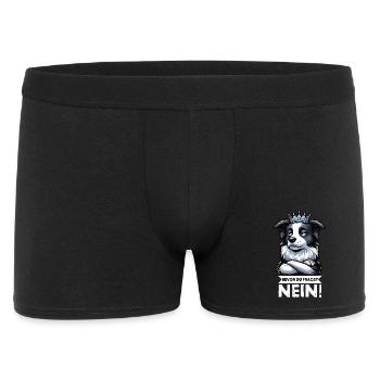Before you ask: Border Collie, Herding Dog, Collie Dog - Men's Boxer Shorts - black - Front