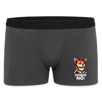 Before You Ask Corgi Corgi Welsh Corgi Corgi Dog - Men's Boxer Shorts - charcoal grey - Front