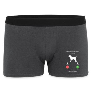 La race de chien Loyal Border Terrier appelle - Boxer Homme - charbon - Devant