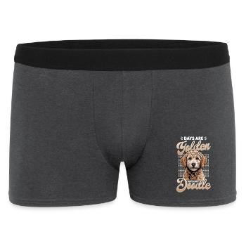 Race de chien Goldendoodle - Boxer Homme - charbon - Devant