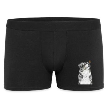 Papillon à l’apparence australienne Berger australien - Boxer Homme - noir - Devant